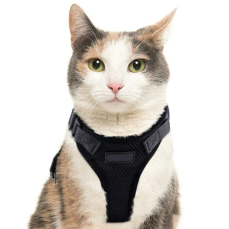 PawProwl Escape-Proof Adjustable Cat Harness with Leash