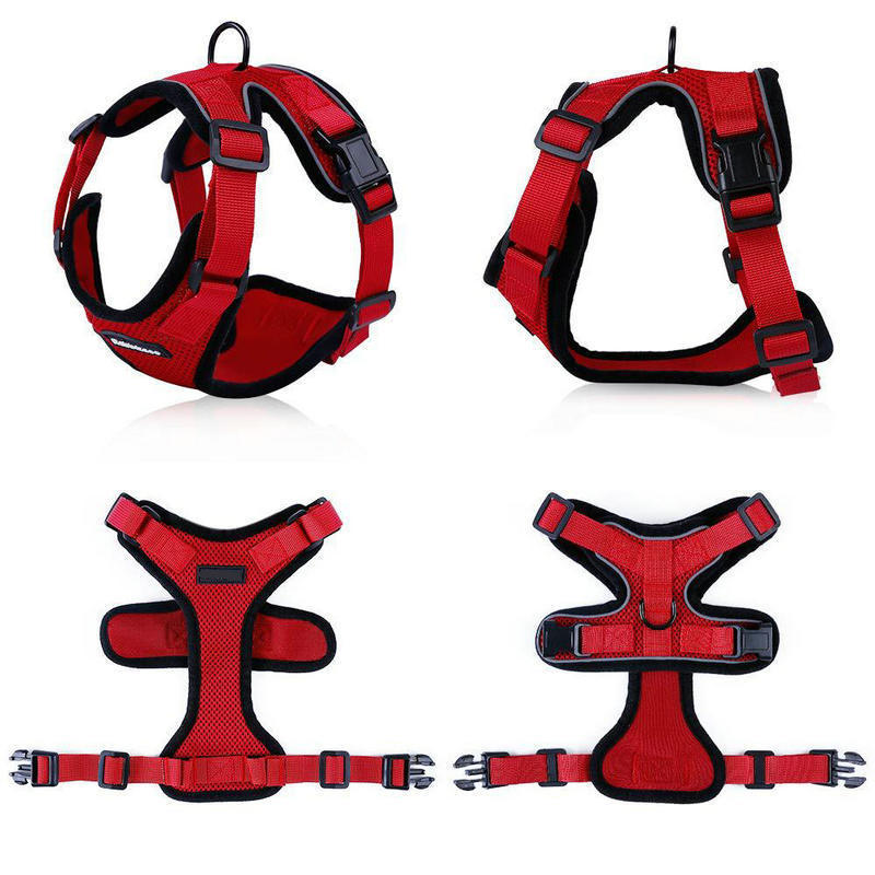 PawProwl Escape-Proof Adjustable Cat Harness with Leash