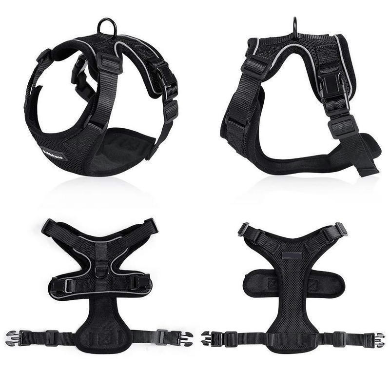 PawProwl Escape-Proof Adjustable Cat Harness with Leash