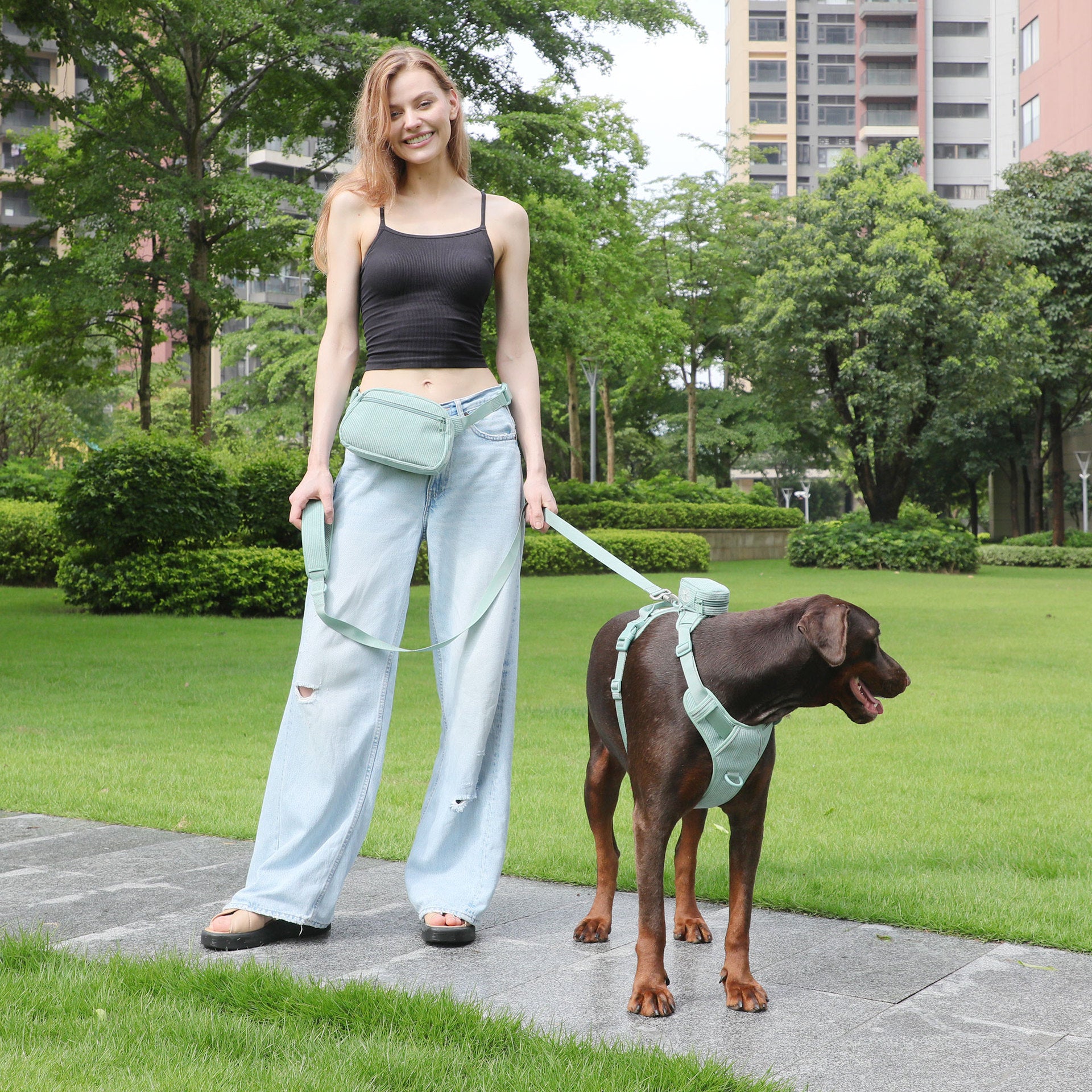 Pet Collar Explosion-proof Dog Vest With Collar Haulage Rope Package