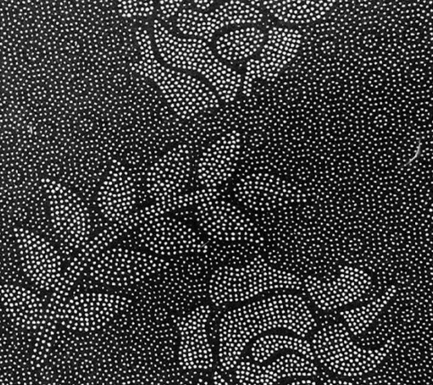 Premium Non-Slip Absorbent Bathroom Floor Mat