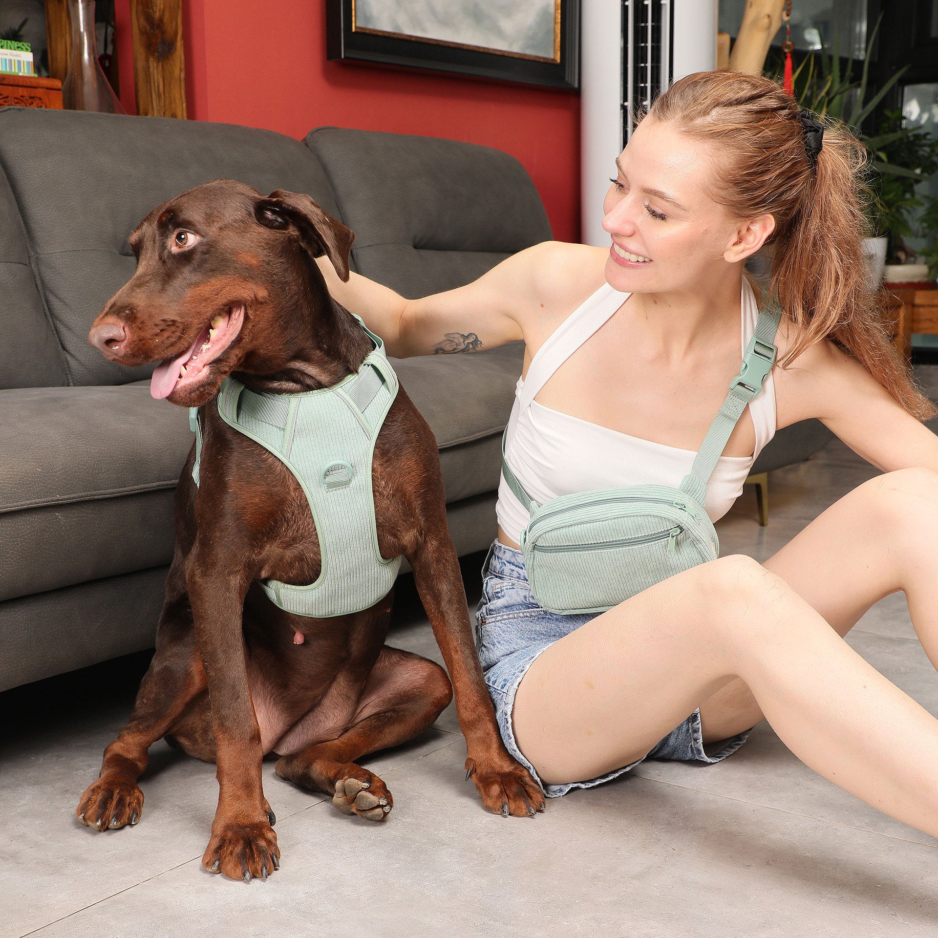 Pet Collar Explosion-proof Dog Vest With Collar Haulage Rope Package