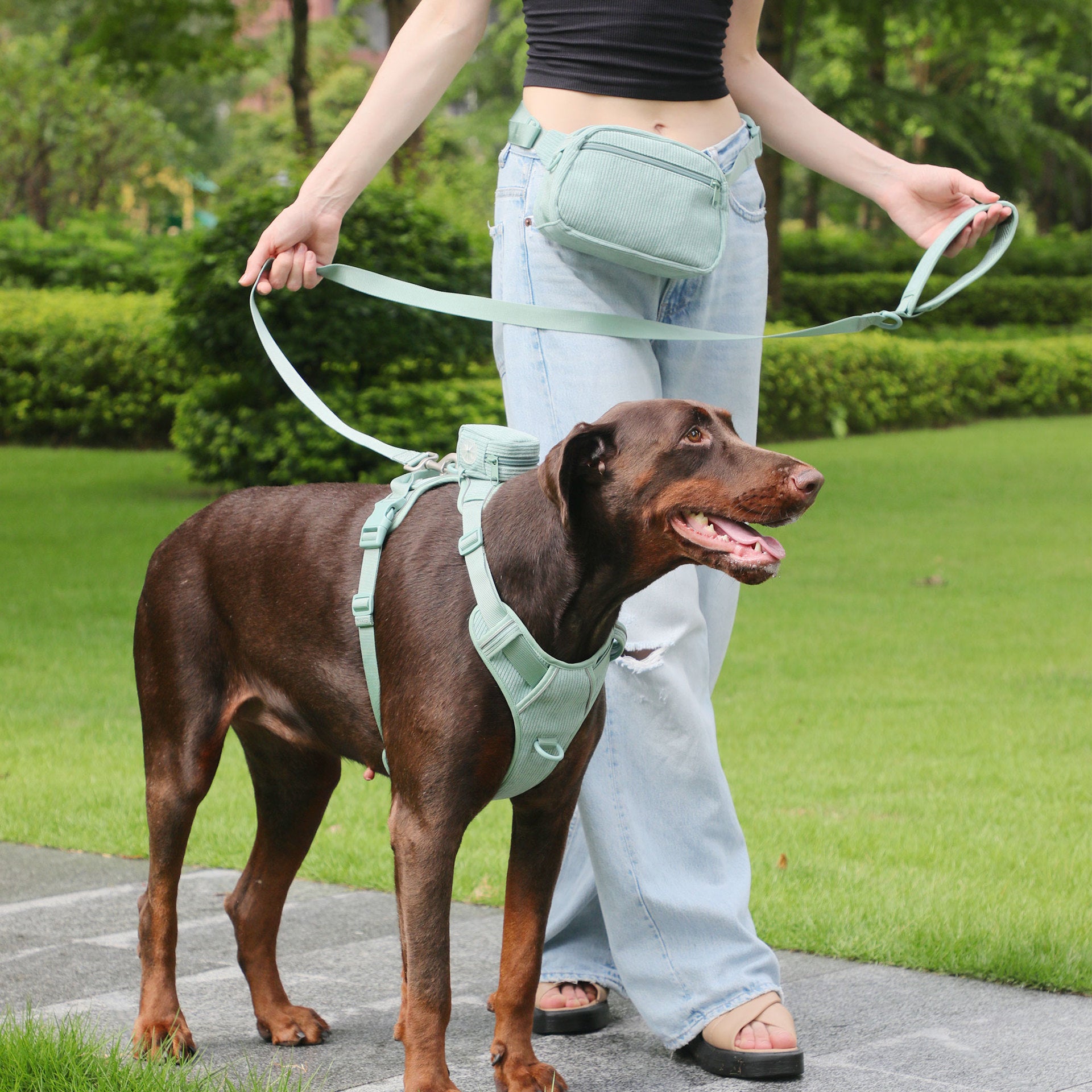 Pet Collar Explosion-proof Dog Vest With Collar Haulage Rope Package